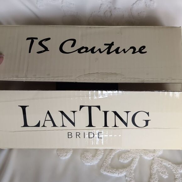 TS Couture Mother Of The Bride/ Cream Colored Chiffon Dress Sz8 - Picture 10 of 14